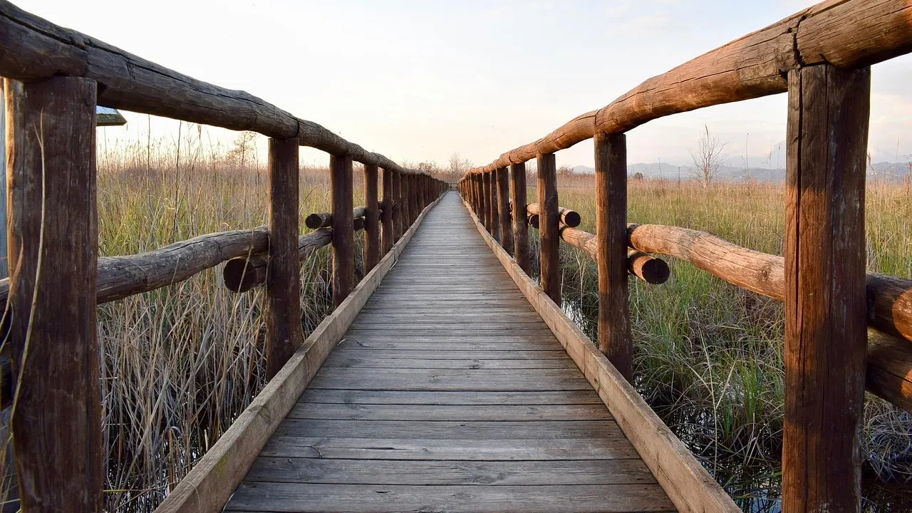Passerelle en bois avec rambardes au-dessus des herbes hautes